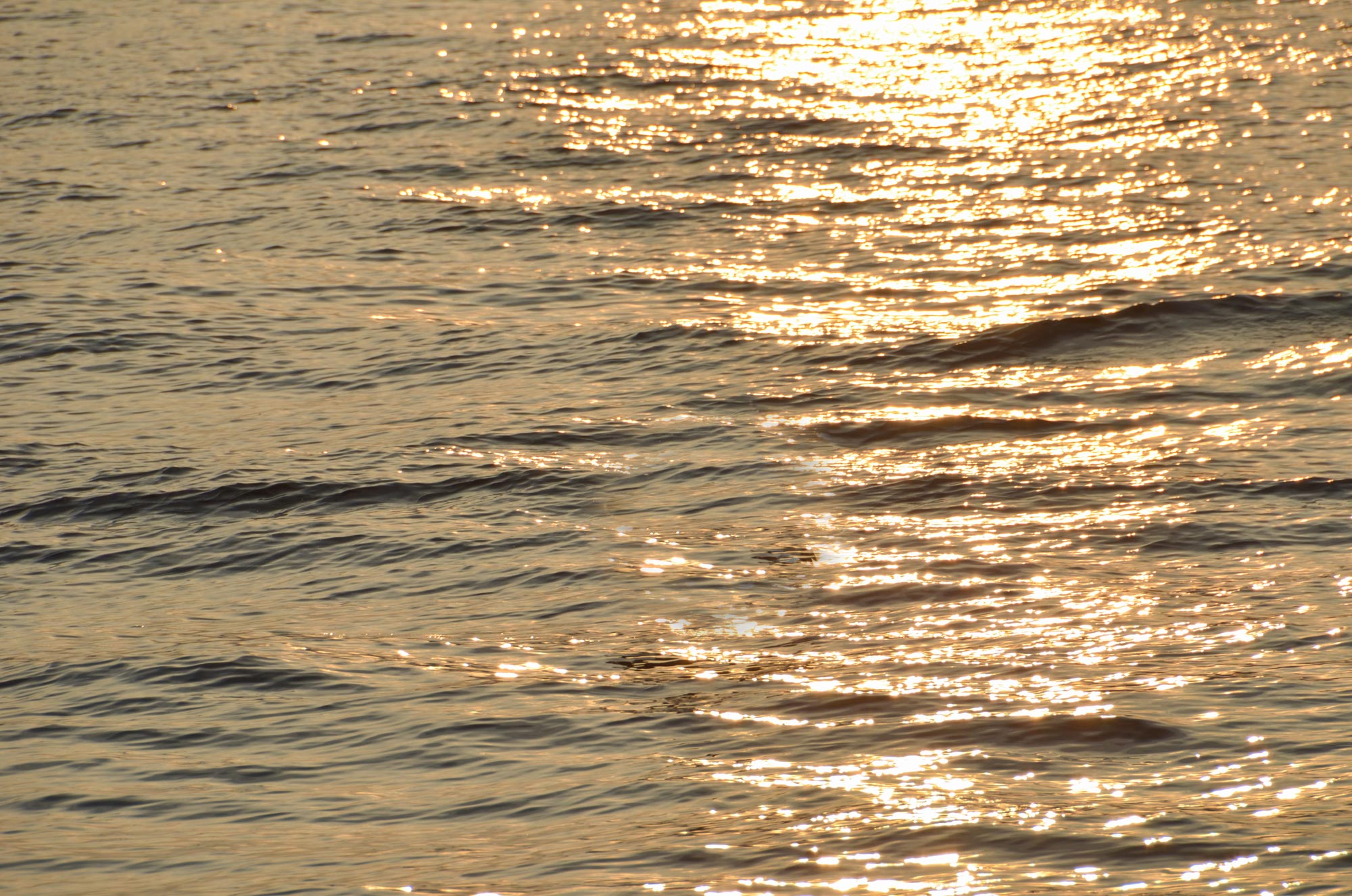 The light on the ocean surface glimmers.
